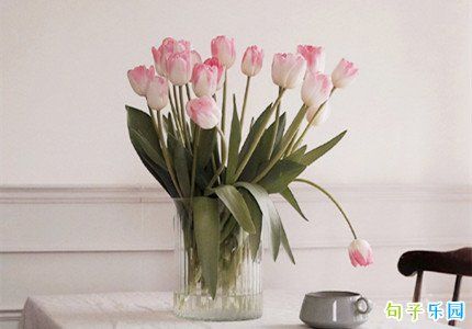 春分養(yǎng)生說說 春分節(jié)氣問候短句