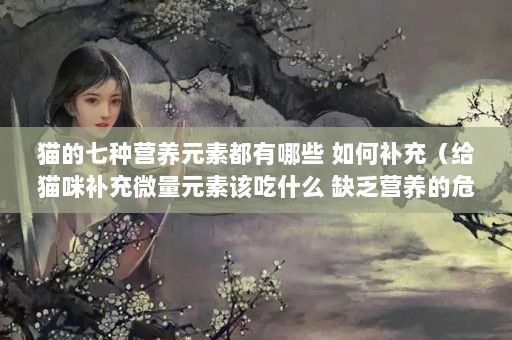 貓的七種營(yíng)養(yǎng)元素都有哪些 如何補(bǔ)充（給貓咪補(bǔ)充微量元素該吃什么 缺乏營(yíng)養(yǎng)的危害有哪些）