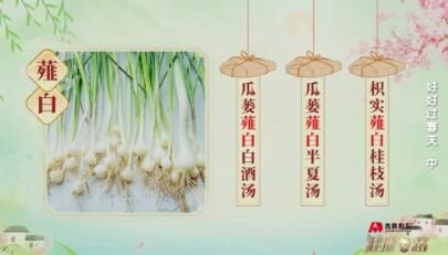 薤白