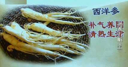 西洋参的功效