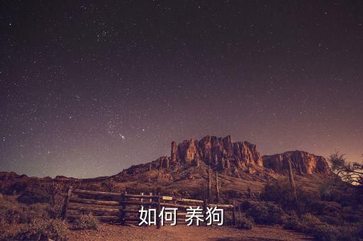 如何 养狗