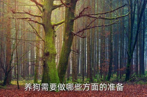  养狗需要做哪些方面的准备