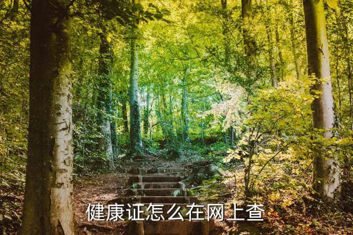 健康证怎么在网上查