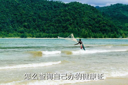 怎么查询自己办的健康证