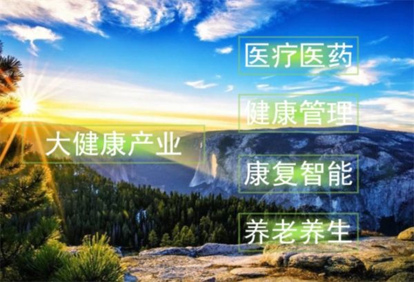 大健康產(chǎn)業(yè)