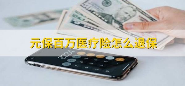 元保百萬醫(yī)療險怎么退保，撥打客服電話或去保險公司退保