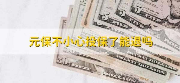元保百萬醫(yī)療險怎么退保，撥打客服電話或去保險公司退保