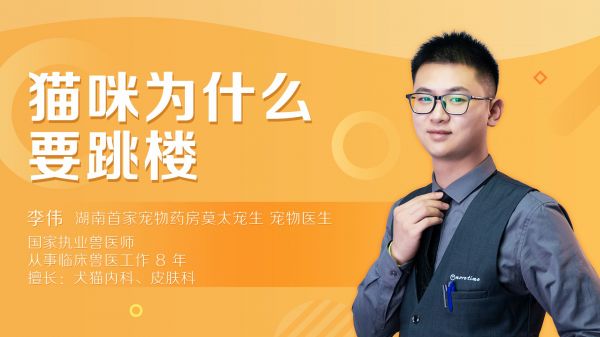 猫咪为什么会跳楼