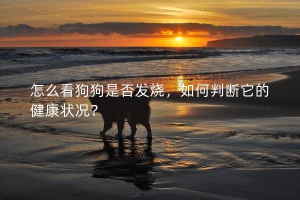 怎么看狗狗是否發(fā)燒，如何判斷它的健康狀況？