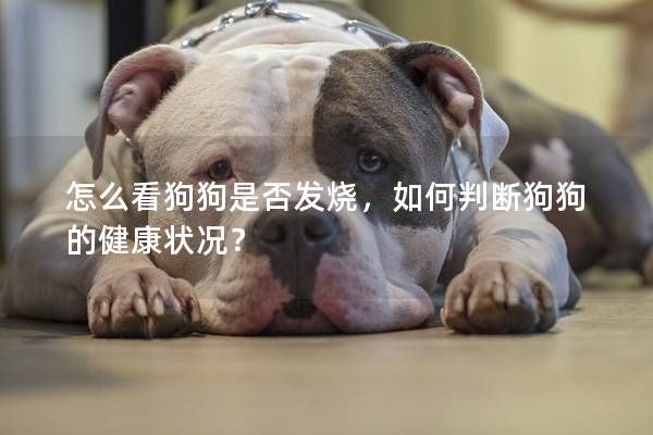 怎么看狗狗是否發(fā)燒，如何判斷狗狗的健康狀況？