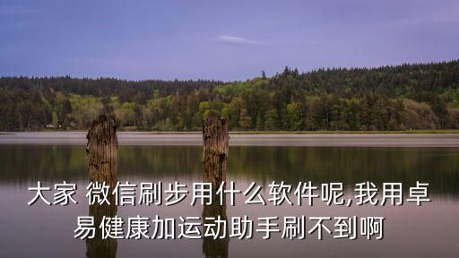 大家 微信刷步用什么软件呢,我用卓易健康加运动助手刷不到啊