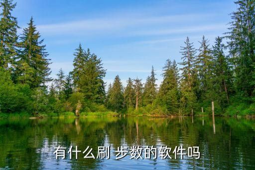 有什么刷 步数的软件吗