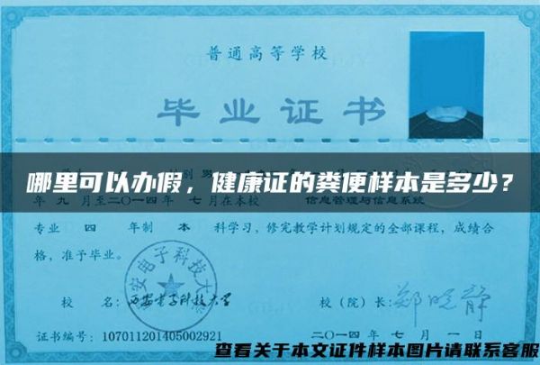 哪里可以辦假，健康證的糞便樣本是多少？