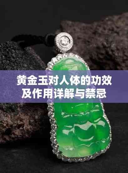 黃金玉對人體的功效及作用詳解與禁忌