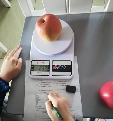 電子秤不準(zhǔn)的原因及校正方法（電子秤誤差分析與校正技巧，讓你的稱重更準(zhǔn)確）