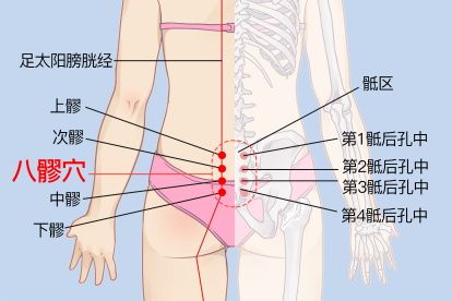 八髎穴的準(zhǔn)確位置圖片