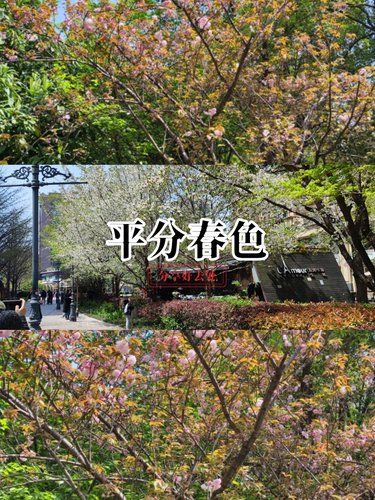 適度運動，激活身心
