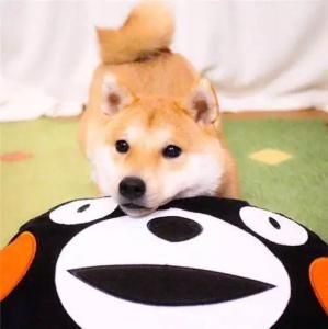 千年后便是一輪回便是相見(jiàn)