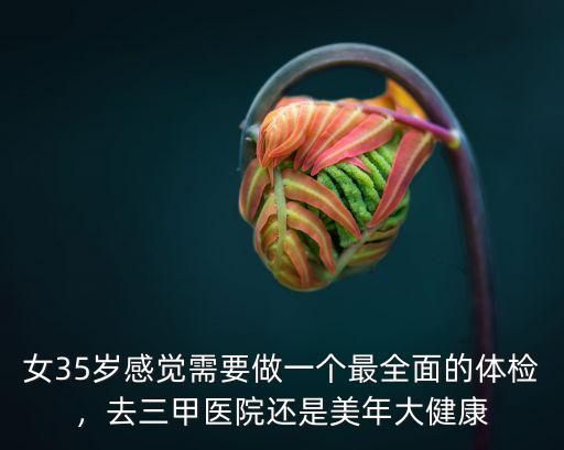 女35岁感觉需要做一个最全面的体检，去三甲医院还是美年大健康