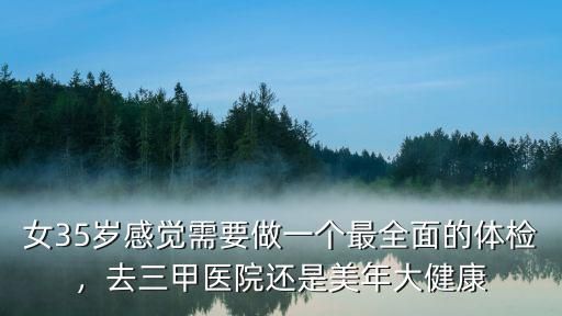 女35岁感觉需要做一个最全面的体检，去三甲医院还是美年大健康