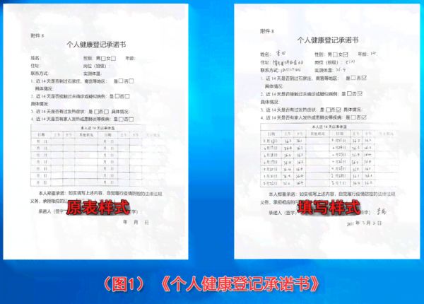 个人身体健情况报告表：模板填写与状况汇报指南