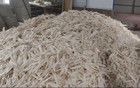 “羽”罷不能！漲價(jià)比黃金還猛 網(wǎng)友直呼“玩不起”