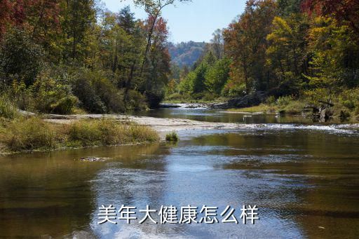 美年大健康怎么樣