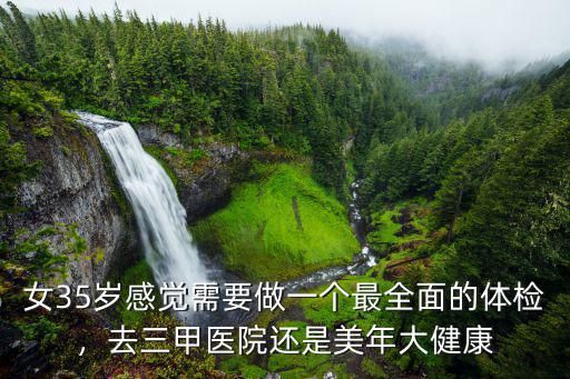 女35岁感觉需要做一个最全面的体检，去三甲医院还是美年大健康