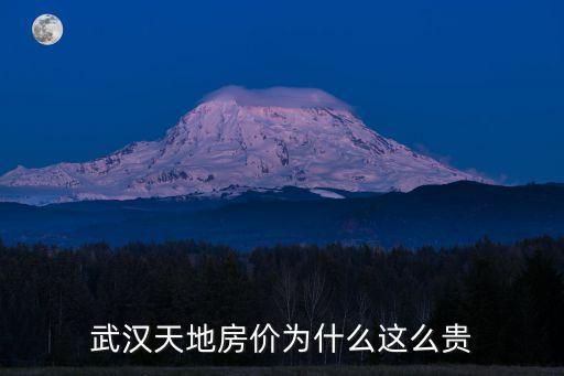 武汉天地房价为什么这么贵