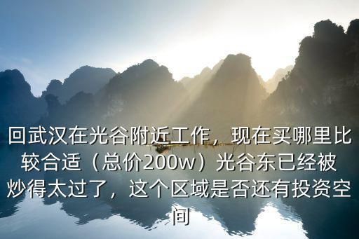 回武汉在光谷附近工作，现在买哪里比较合适（总价200w）光谷东已经被炒得太过了，这个区域是否还有投资空间