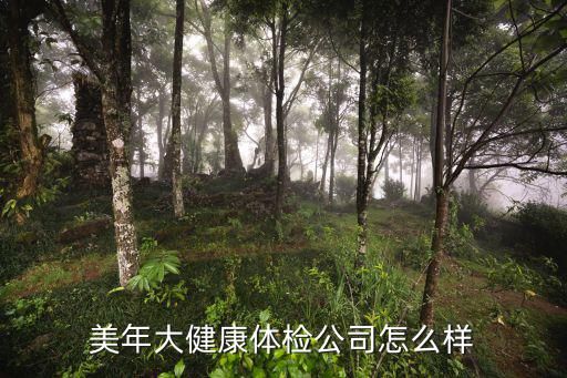 美年大健康體檢公司怎么樣