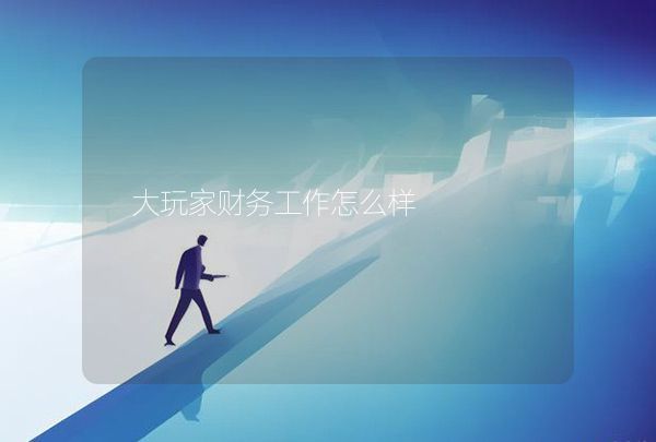 大玩家财务工作怎么样