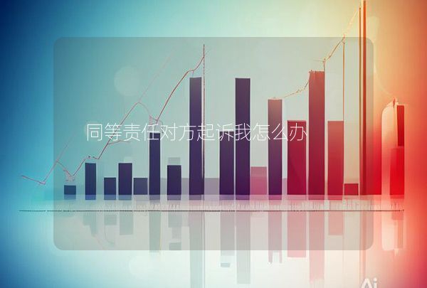 同等责任对方起诉我怎么办