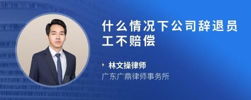 什么情況下公司辭退員工不賠償