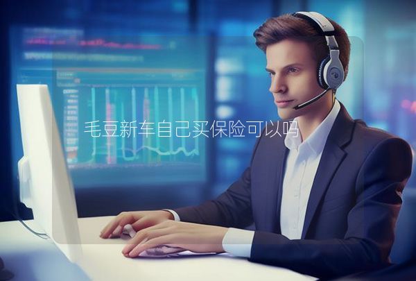 毛豆新車自己買保險可以嗎