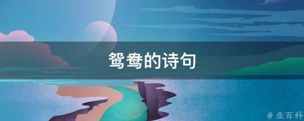 鸳鸯的诗句