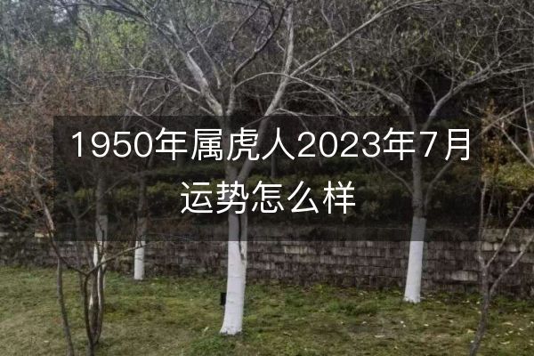 1950年属虎人2023年7月运势怎么样