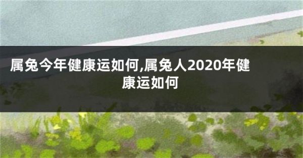 属兔今年健康运如何,属兔人2020年健康运如何