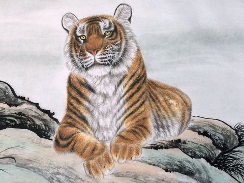 1950年属虎人2025年运势及运程详解 50年出生属虎人2025全年每月运势