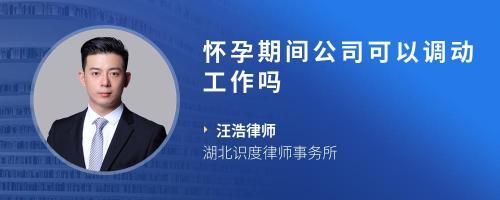 怀孕期间公司可以调动工作吗