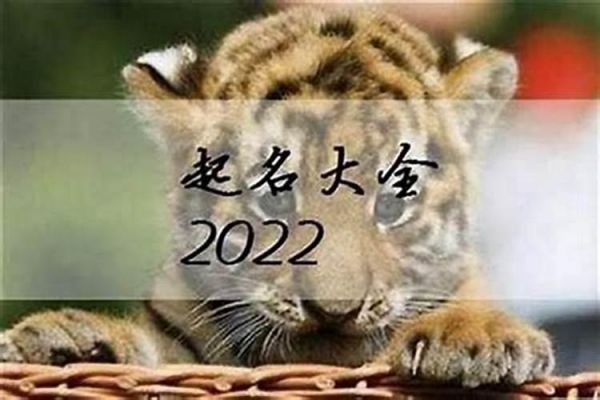 1950年生人在2023年运势如何
