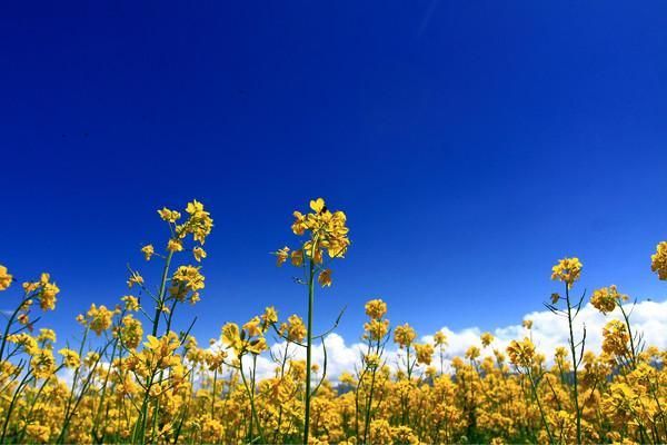 和諧健康保險股份有限公司