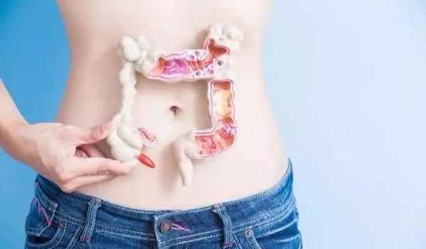 如何保护肠道健康(肠道不好的人怎么调养)