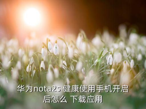 华为nota2s 健康使用手机开启后怎么 下载应用