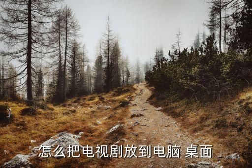 怎么把电视剧放到电脑 桌面