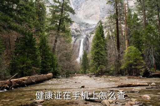  健康证在手机上怎么查