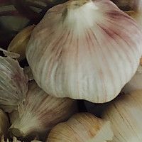 自制健康大蒜茸油（方便取用）的做法图解1