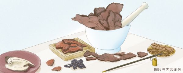 白芍過敏是什么原因 吃白芍有什么禁忌 皮膚過敏可以吃白芍嗎