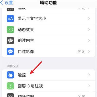 苹果轻点两下出现健康码怎么设置