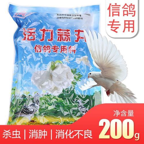 信鴿怎么養(yǎng)才能健康快樂,妙招鴿子藥物不用身體食品(鴿子大蒜也有信鴿妙招) 健康